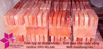 da-muoi-hong-xay-dung-phong-xong-hoi