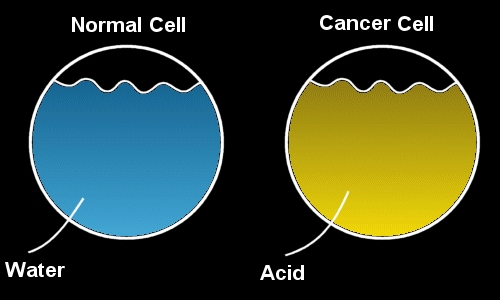 muo--hong-te-bao-ung-thu