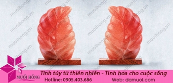 den-da-muoi-hinh-chiec-la-1