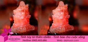 den-da-muoi-phat-di-lac-dung-2