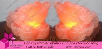 den-da-muoi-thiem-thu-3