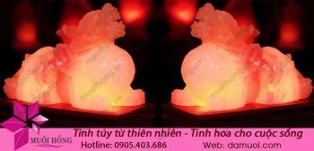 den-da-muoi-ty-huu-2